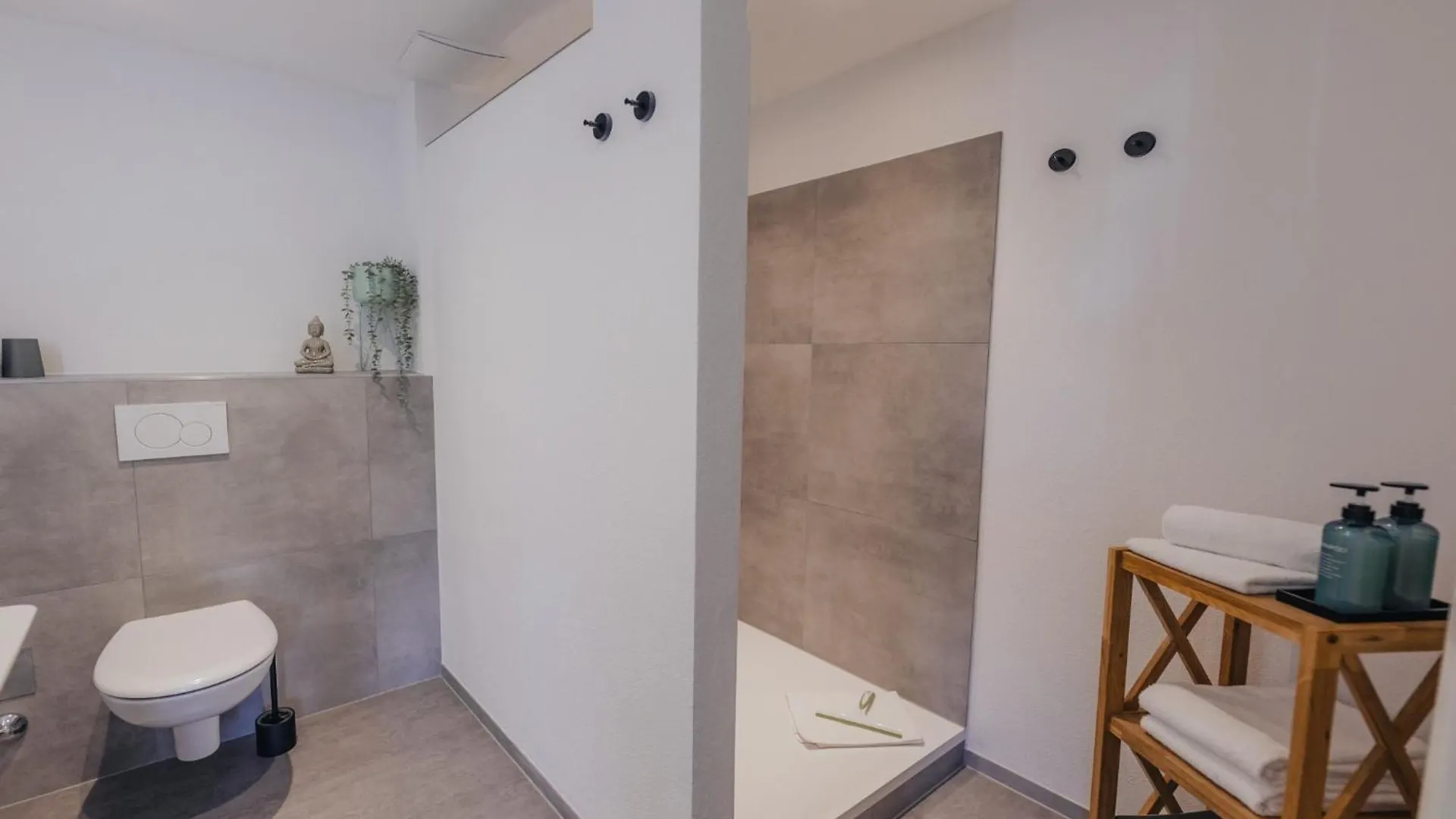 Mainterrasse Boardinghouse Am Fluss Klimatisierte Apartments Mit 80Qm Terrasse Miltenberg